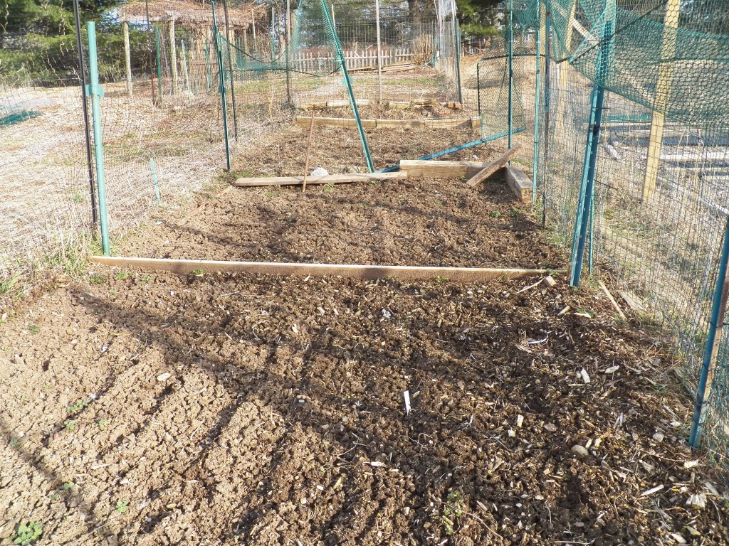 Freshly tilled plot